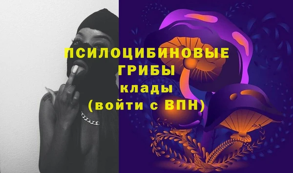 твердый Балахна