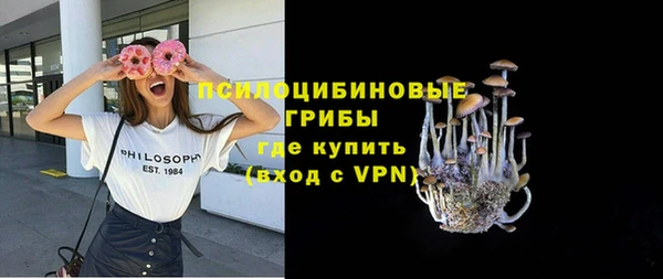 твердый Балахна