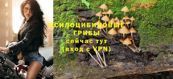 твердый Балахна