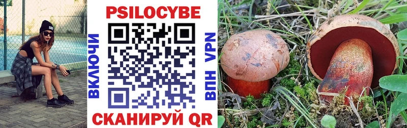 mega зеркало  Буинск  Псилоцибиновые грибы MAGIC MUSHROOMS 